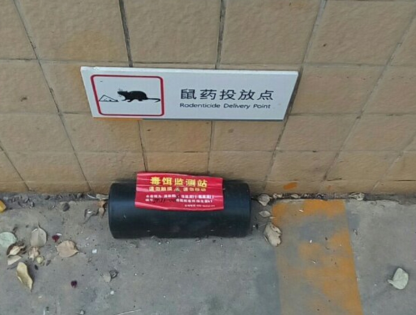 香港精准30码灭鼠公司